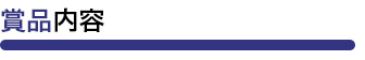 賞品内容02